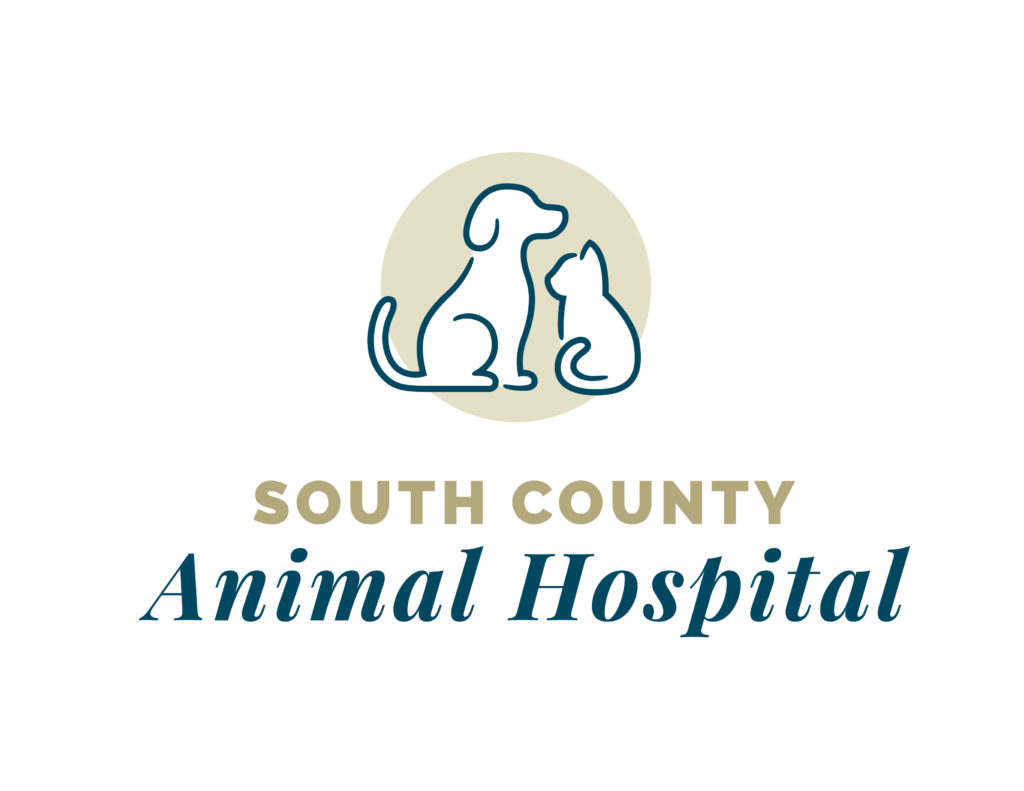 South County Animal Hospital - Suveto