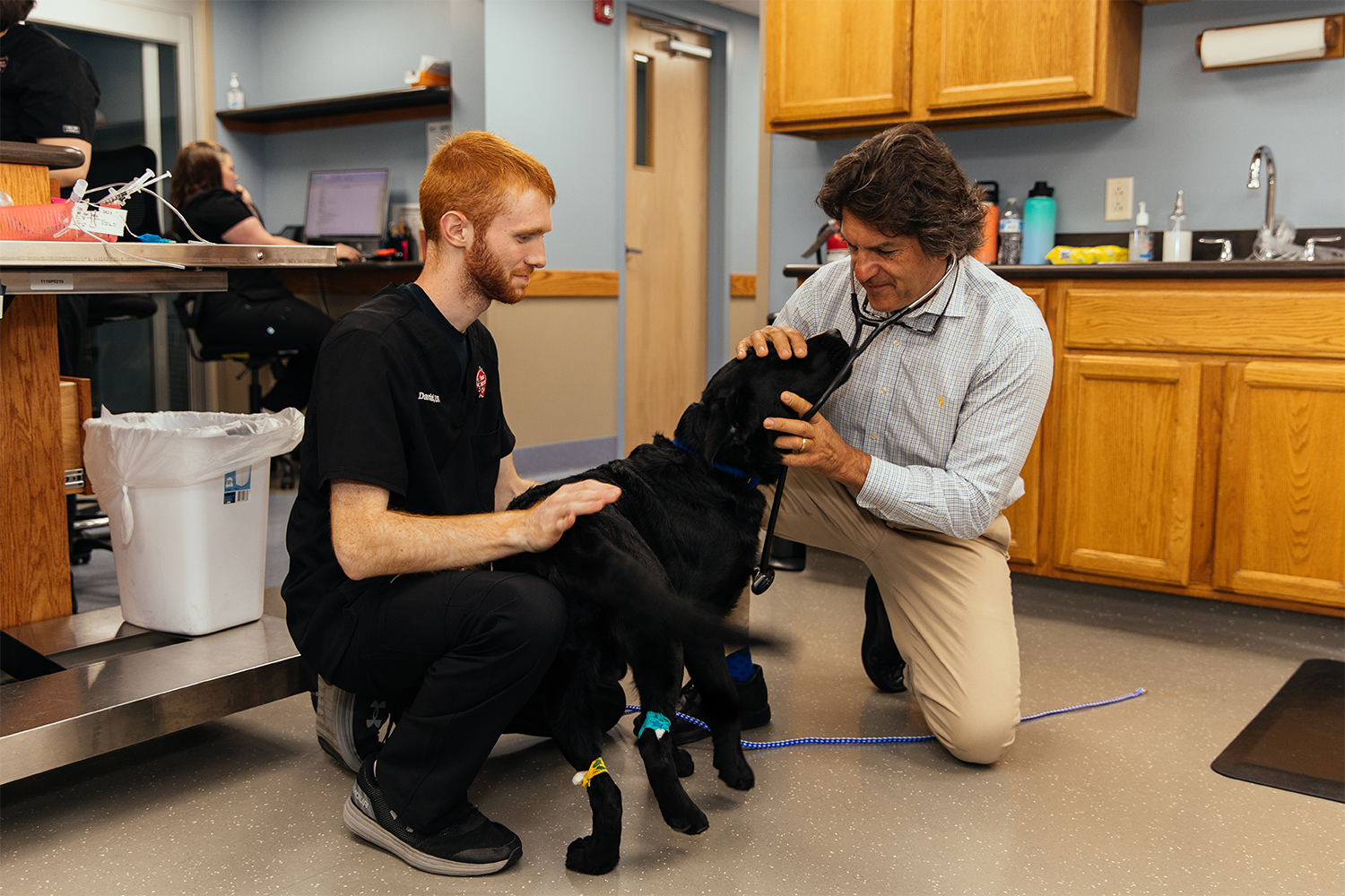 Veazie Veterinary Clinic. 1522 State St, Veazie, ME 04401. (207) 9418840.