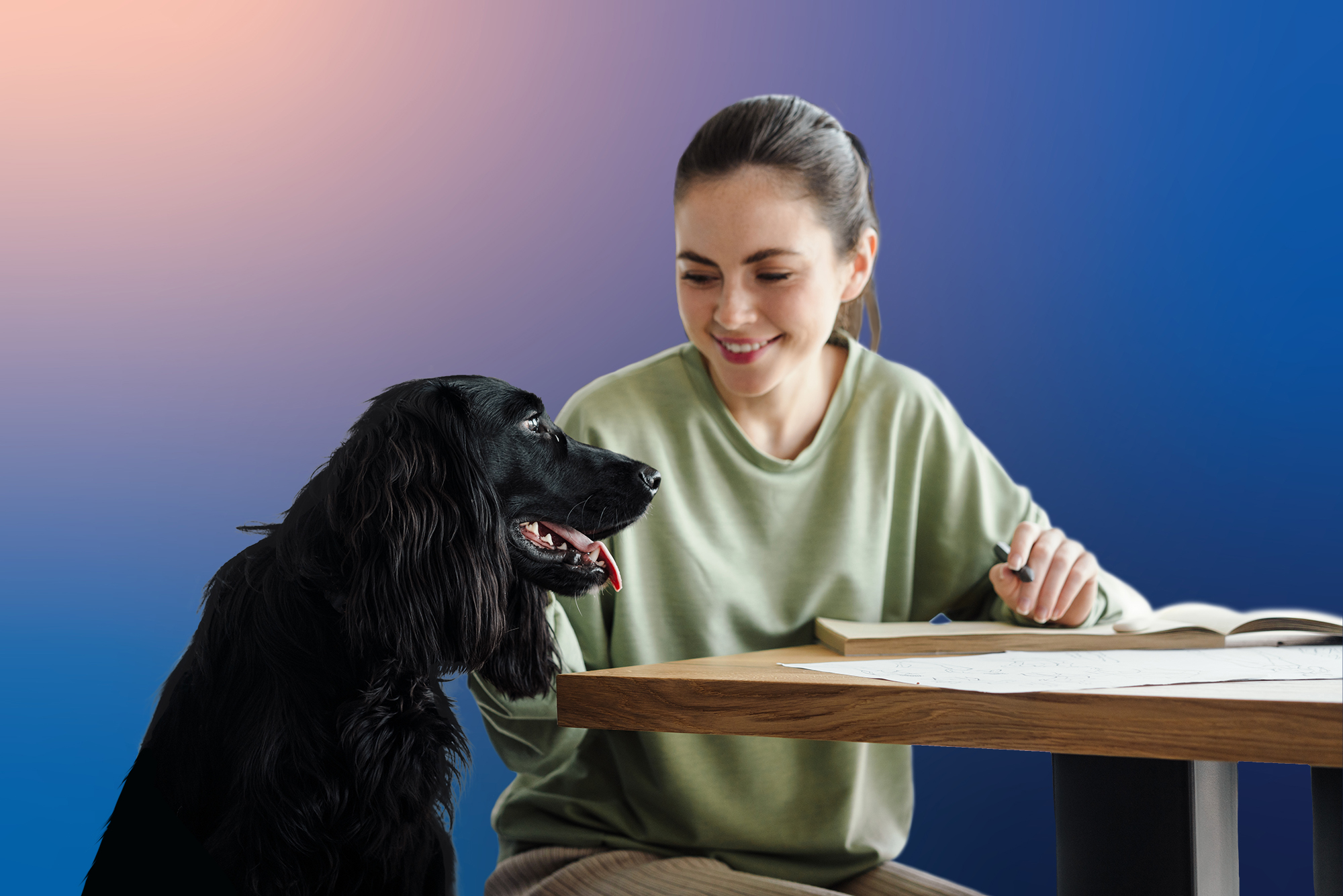 Practicing Gratitude in Veterinary Medicine | Suveto 