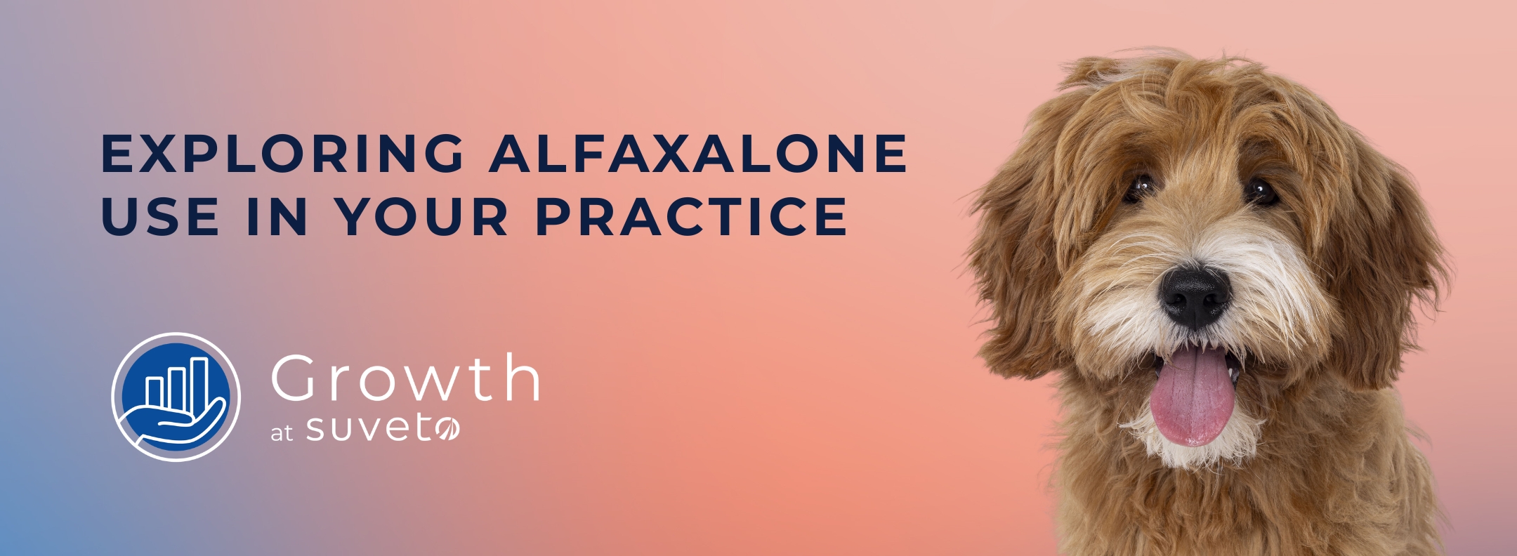 Alfaxalone Event Banner
